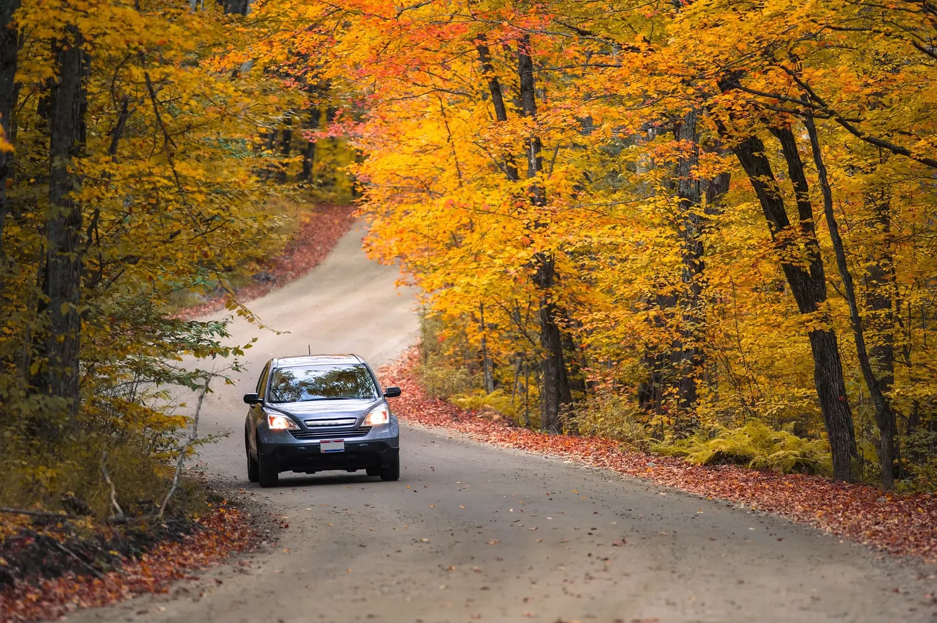 Safe Driving Habits
