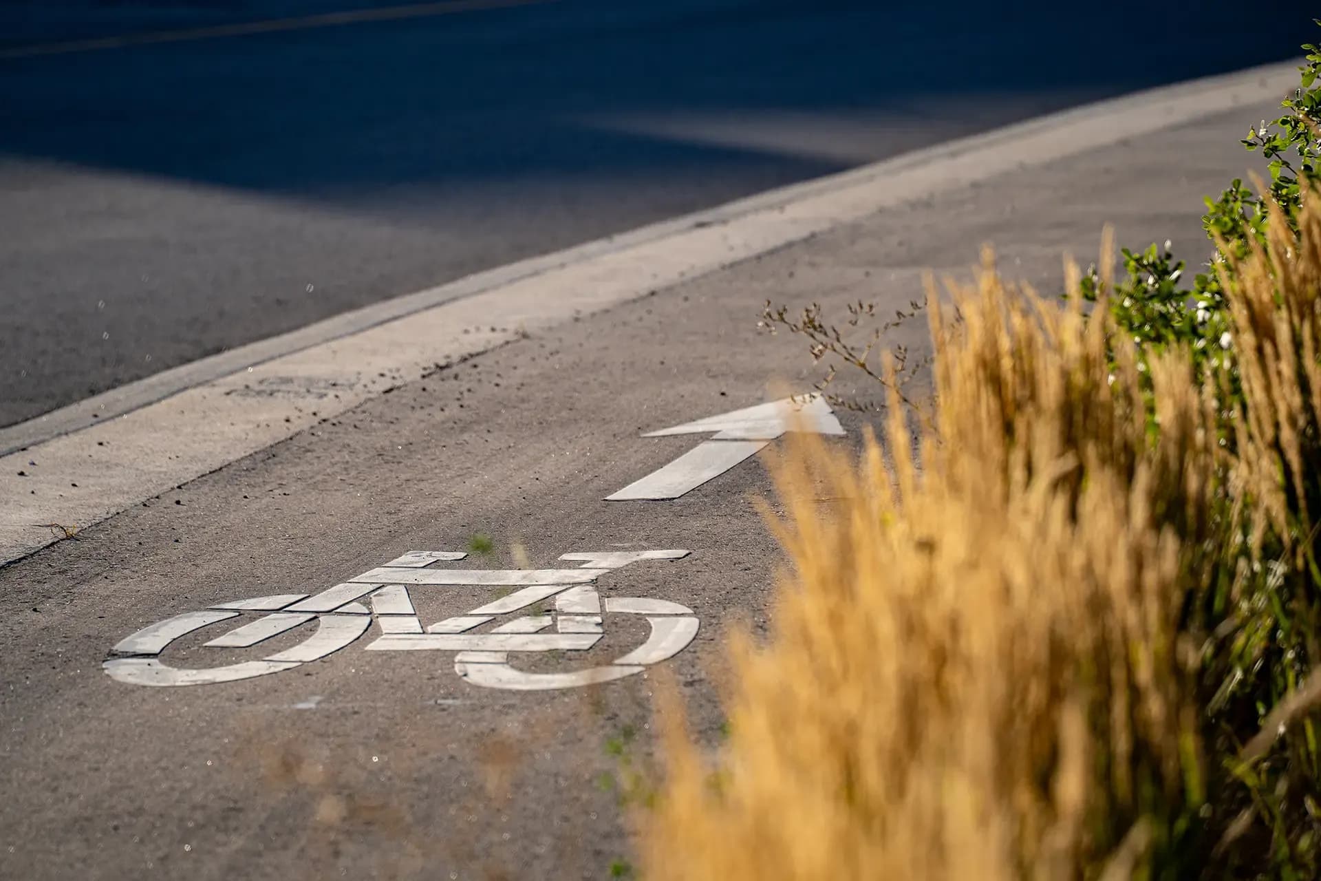 Types Bicycle Crashes Chicago