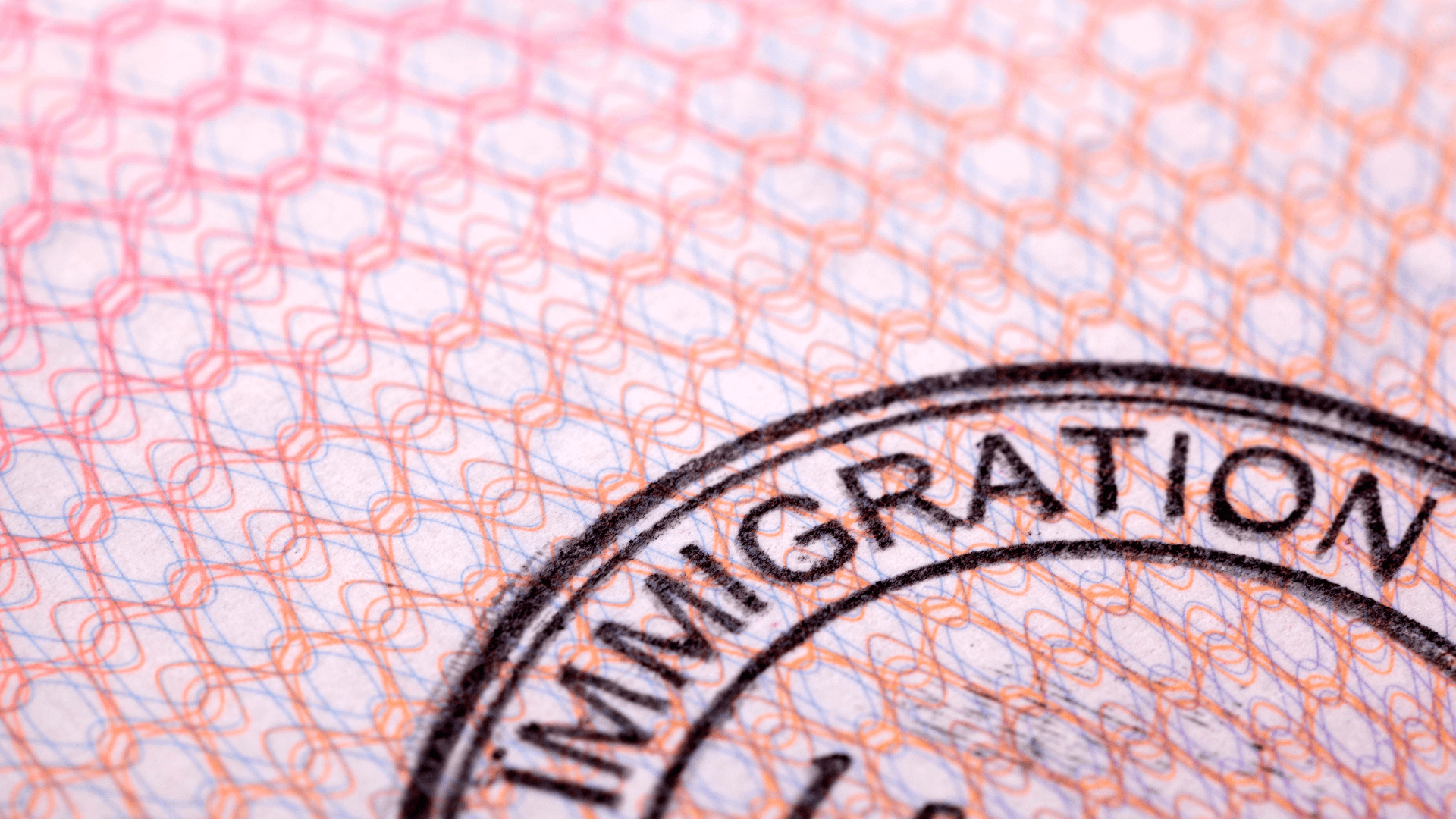 Undocumented Immigrant Gets a DUI 01