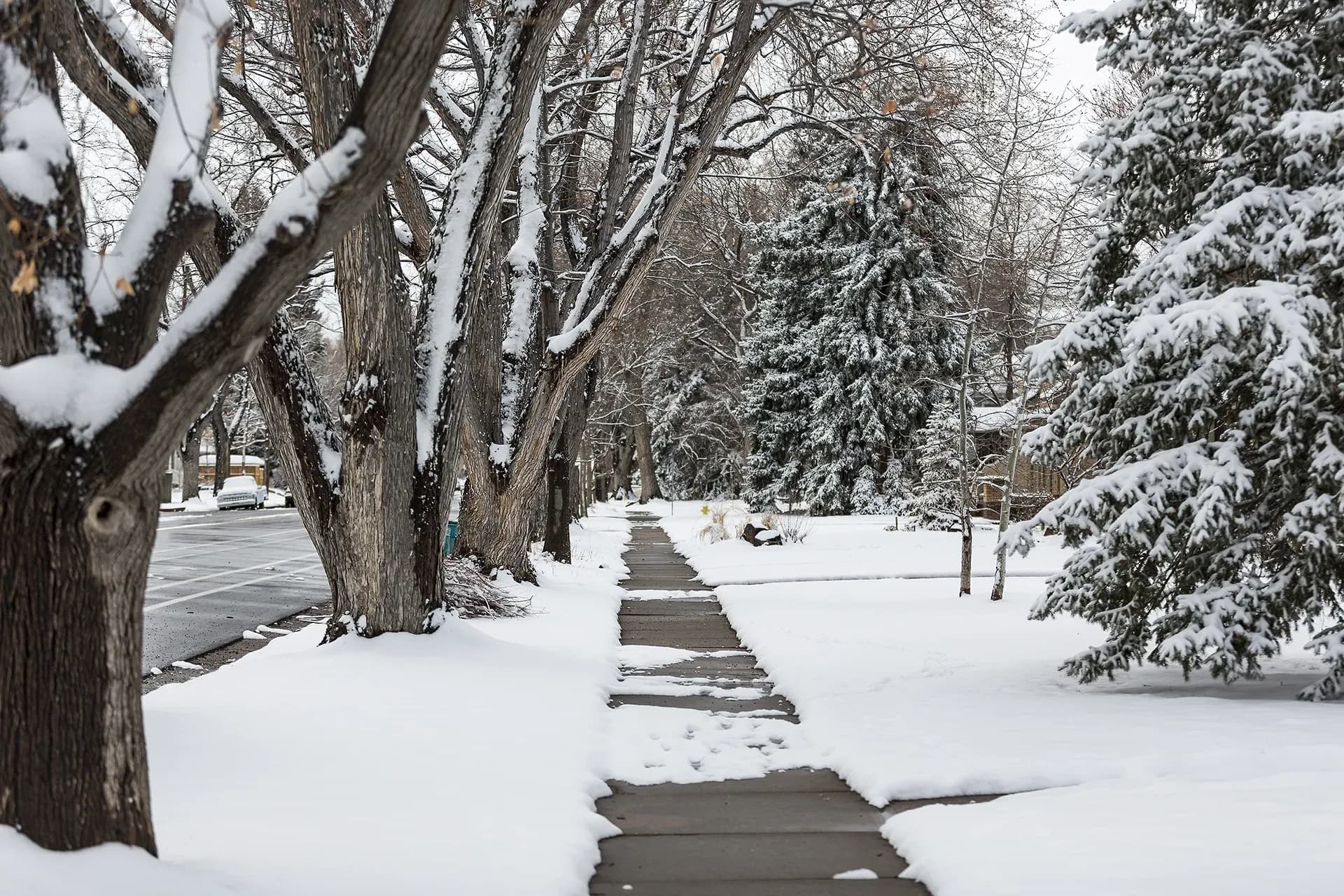 Análisis de la responsabilidad civil por accidentes por caídas relacionados con la nieve y el hielo en Illinois Análisis de la responsabilidad civil por accidentes por caídas relacionados con la nieve y el hielo en Illinois