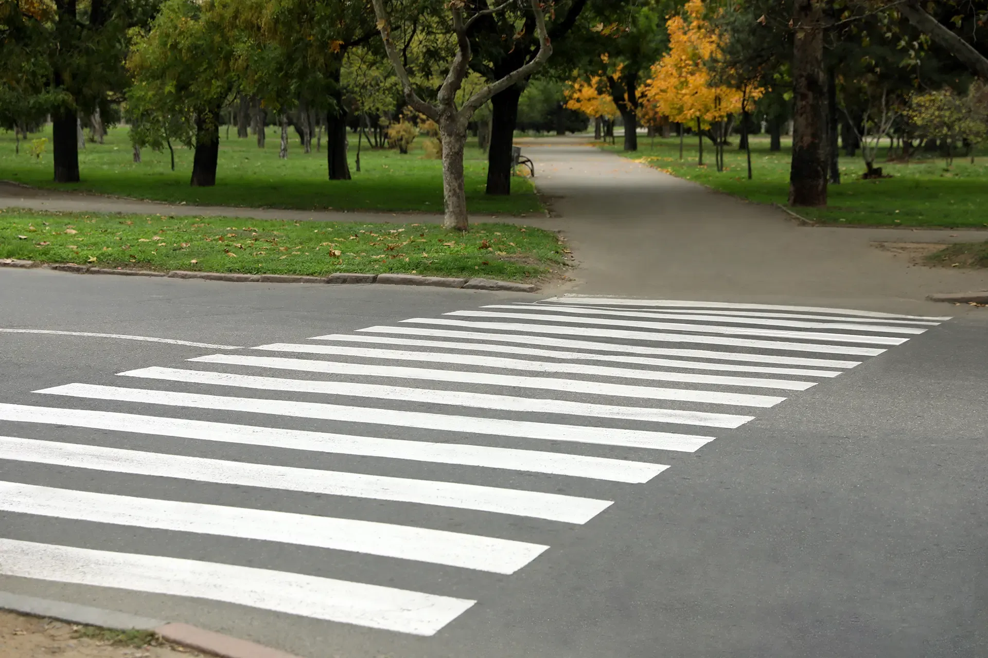 Pedestrian Accidents Safety Organizations Chicago Pedestrian Accidents Safety Organizations Chicago