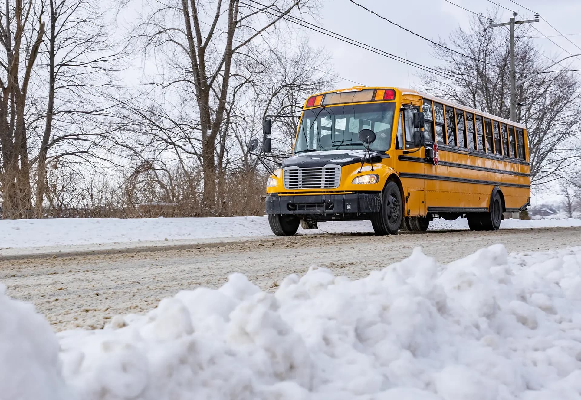 School Bus Safety School Bus Safety
