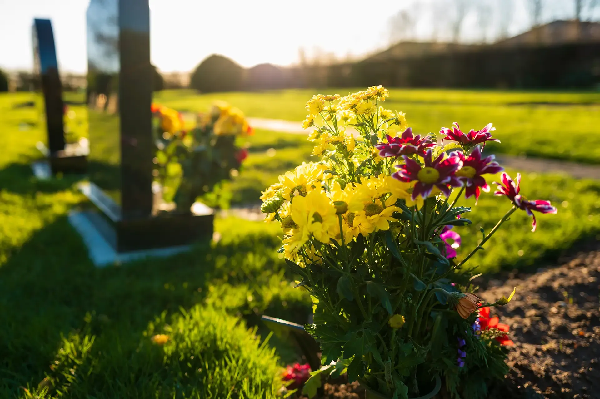 Wrongful Death Lawsuits Car Accident Wrongful Death Lawsuits Car Accident